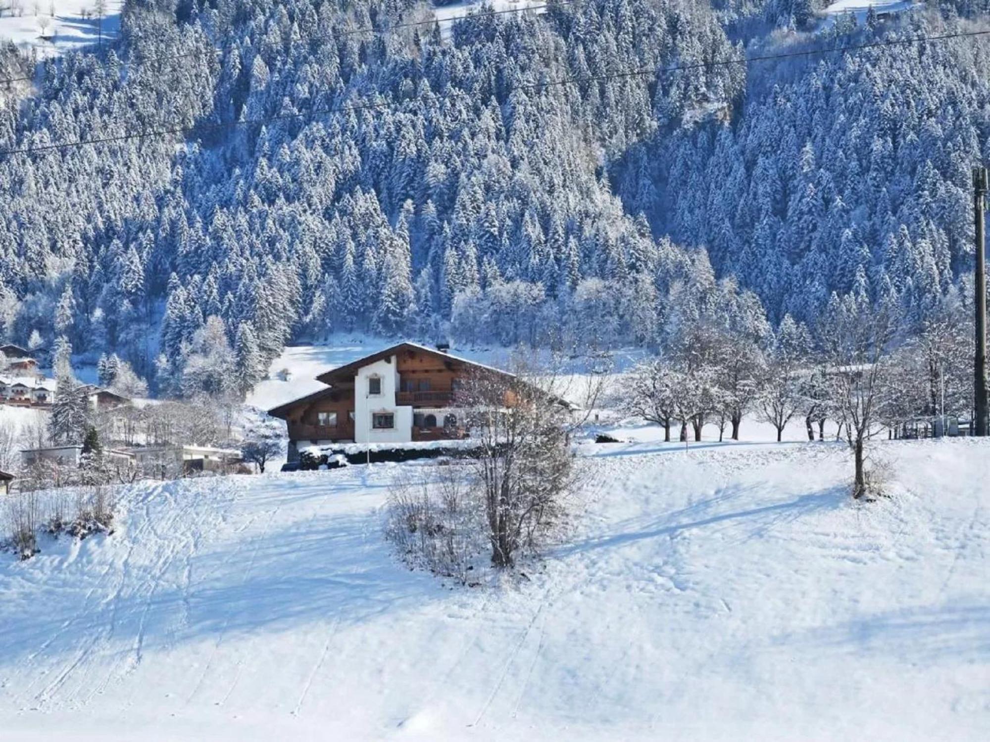 Apartment With Panoramic View Ramsau im Zillertal Exterior photo
